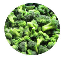 Nuevo cultivo IQF Frozen Broccoli Vegetales orgánicos Vegetales congelados